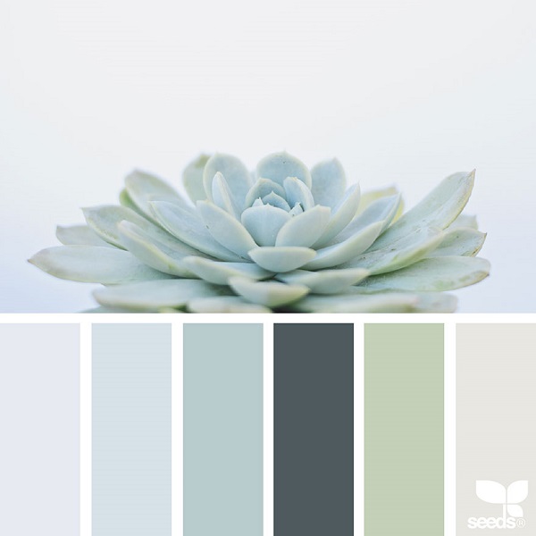 Design Seeds palety barev z přírody, barevná inspirace